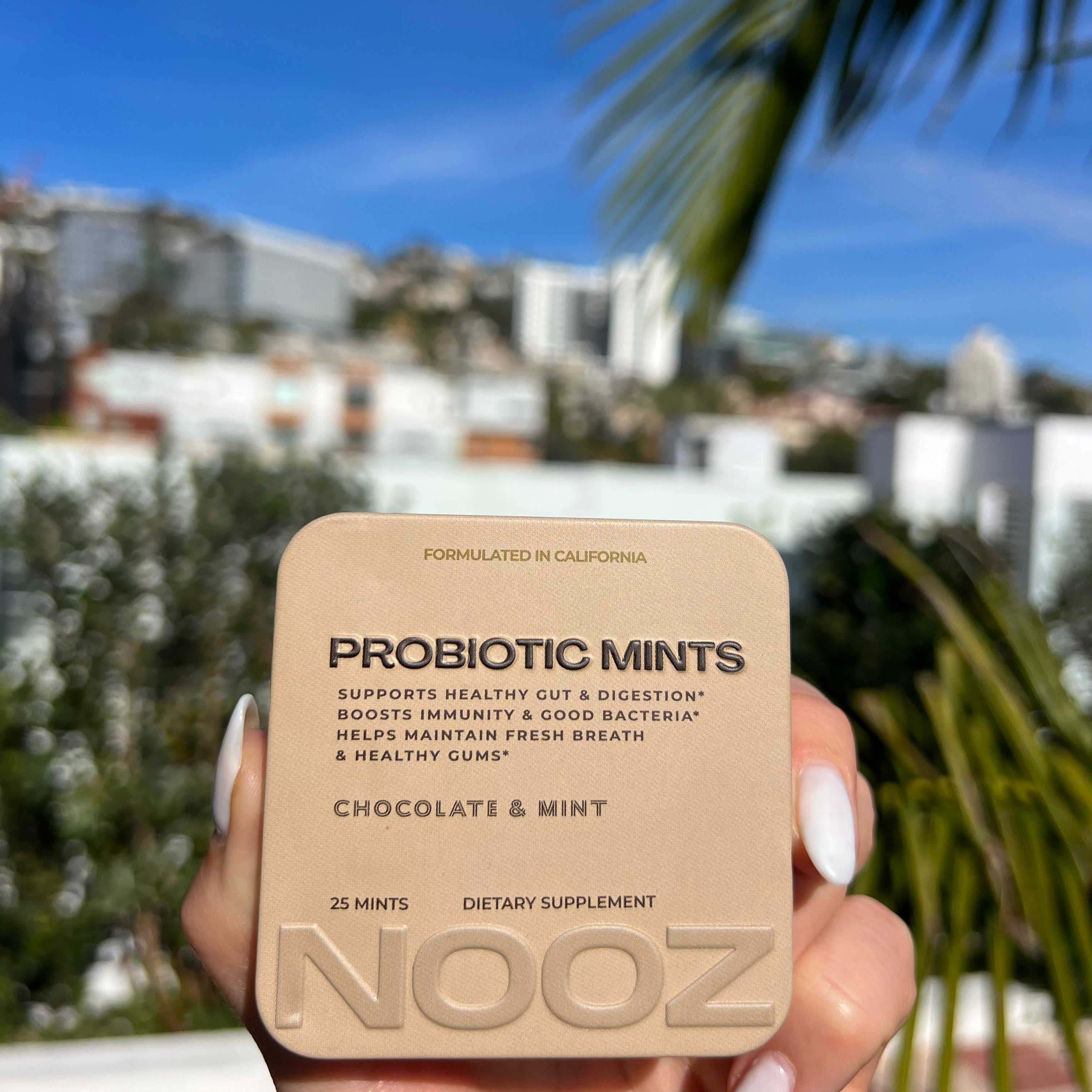 PROBIOTIC MINTS